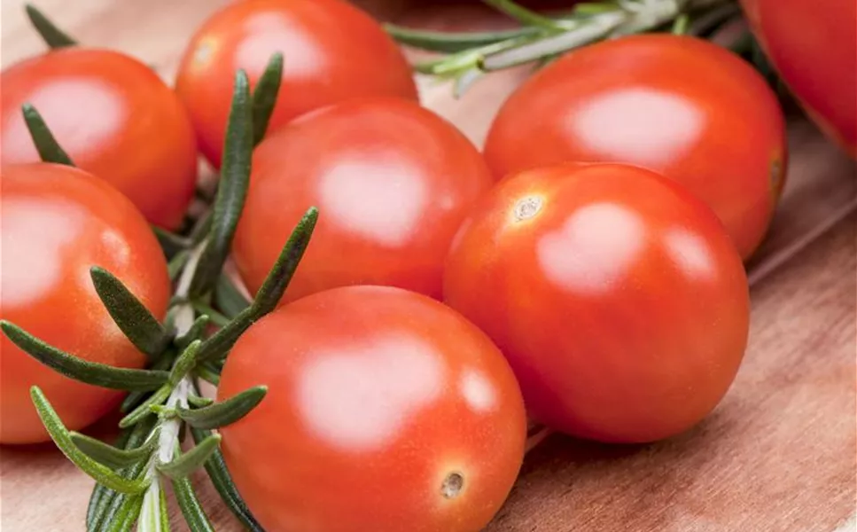 Nutzgarten - Leckereine aus dem Garten! Nutzgarten - Leckereine aus dem Garten!