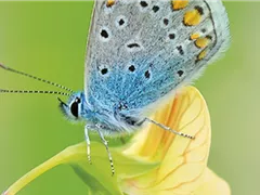 ALLES BIO, ODER WAS? 