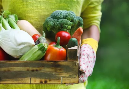 NUTZGARTEN NUTZGARTEN