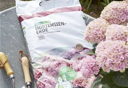 Eigenmarke Eigenmarke