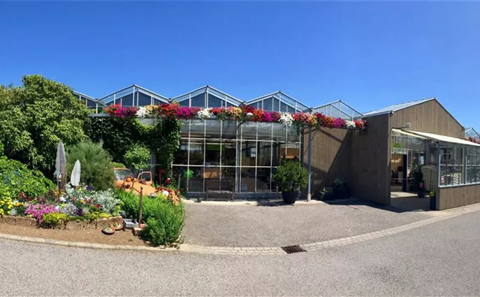 KONTAKT - Ihr Weg zu uns