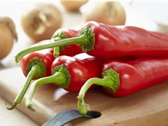 EIN GANZER GARTEN AUF DEM BALKON