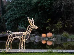 WEIHNACHTS-LICHTER-GÄRTEN