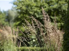 WIE GRäSER DEN GARTEN AUFWERTEN!