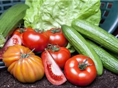ALLES FÜR DEN BAUERNGARTEN