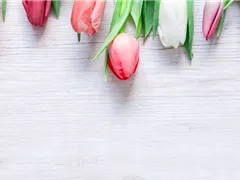 BLUMIGER VALENTINSTAG!