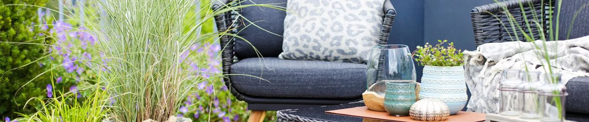 PFLEGELEICHTE SCHöNHEITEN FüR DIE DACHTERRASSE!