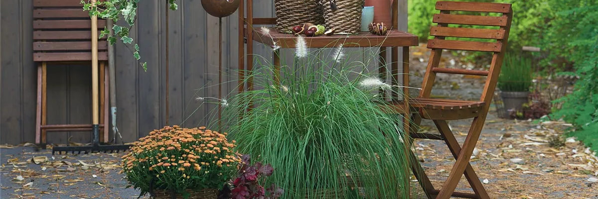 WARME FARBEN, STARKE WIRKUNG!