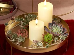 IM GLANZ DER ELEGANZ!