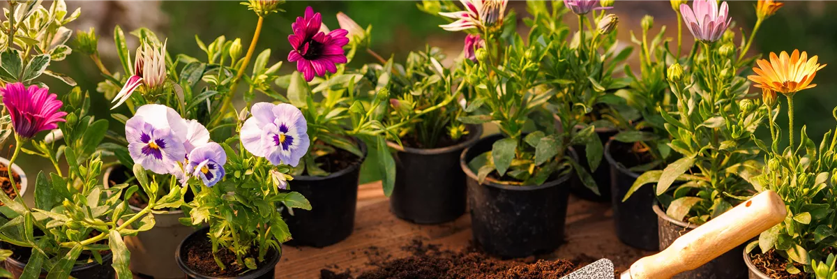 Buch des Monats: Januar!