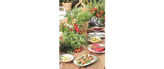 URLAUBSGEFÜHLE ZUHAUSE! 