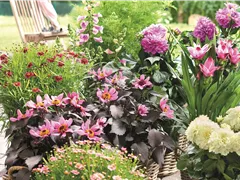 BLÜHENDER GARTEN! AUSDAUERNDE STAUDEN FÜR TERRASSEN UND BEETE. 