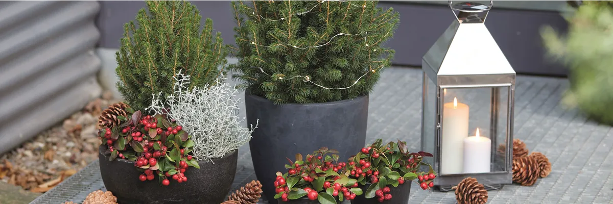 WEIHNACHTLICHE WOHNMAGIE!