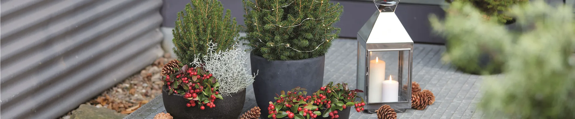 WEIHNACHTLICHE WOHNMAGIE!