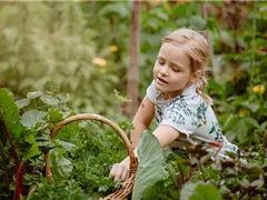 KINDER SPIELERISCH IN DIE ERNTE EINBEZIEHEN