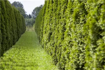 AUSGEHECKT! AUSGEHECKT!